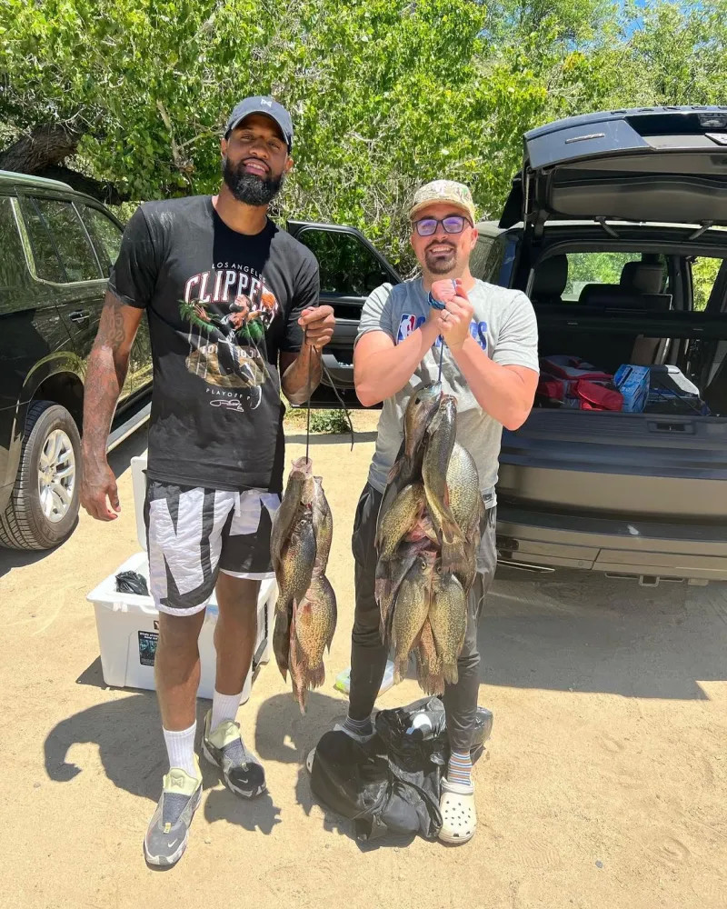 的出色表现 的出色表现