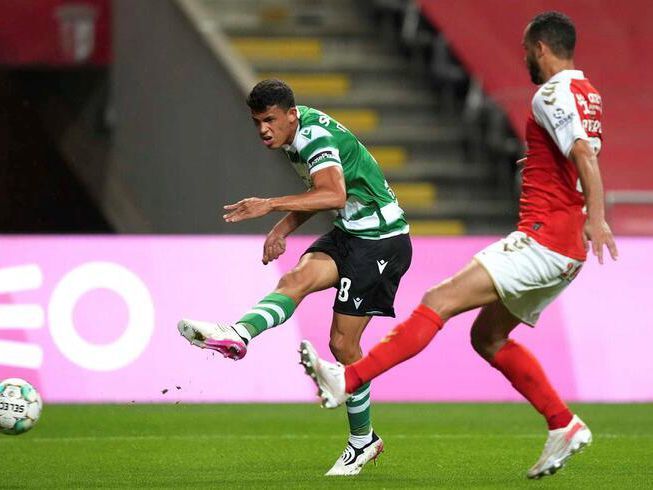 似竞技生涯 似竞技生涯