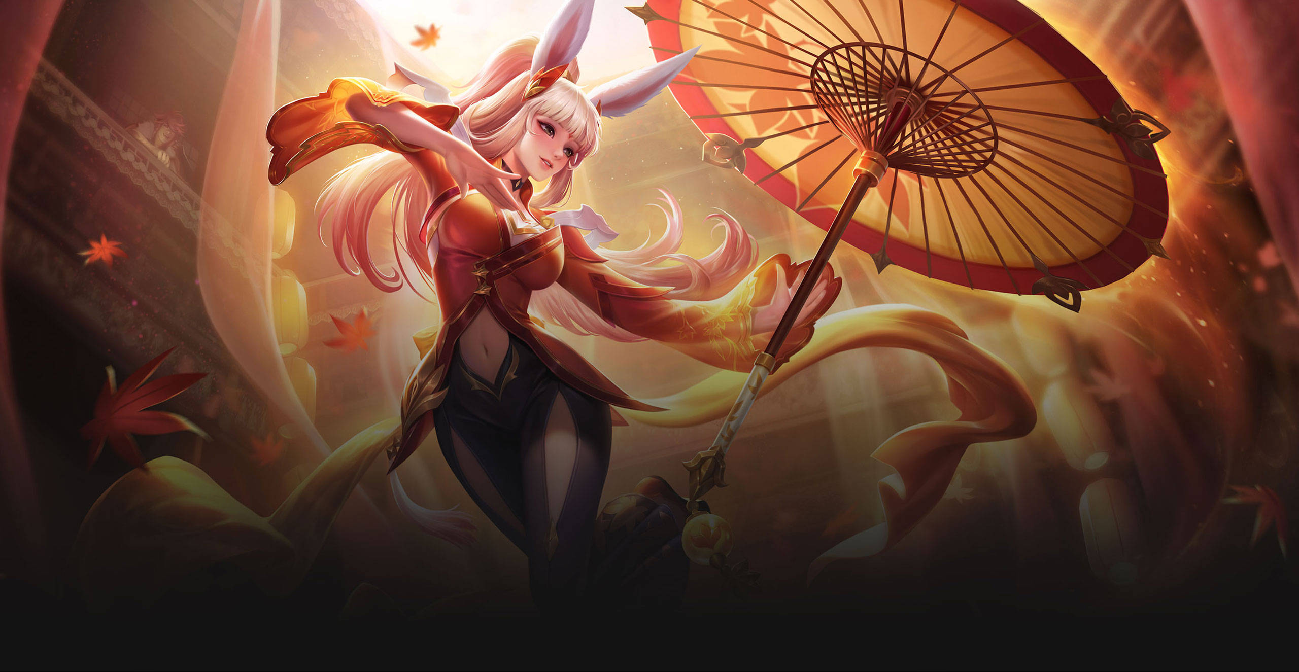 数据与视频 数据与视频